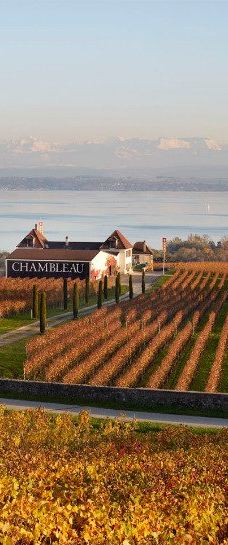 Domaine de Chambleau-Milvignes