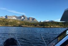 Hamarøy Fjordtur美食图片