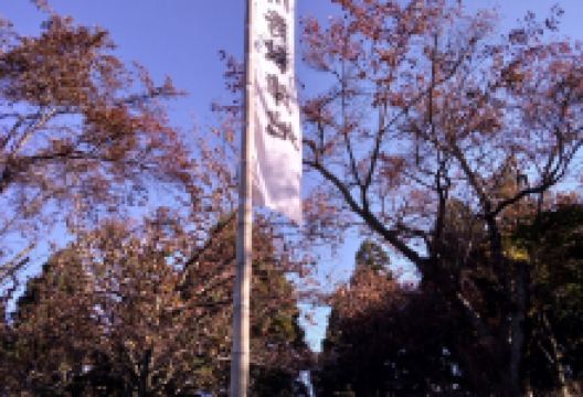 松尾山景点图片