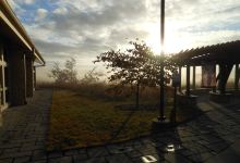 MoonTree Studios景点图片