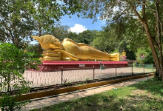 Wat Chak Yai Buddhist Park景点图片