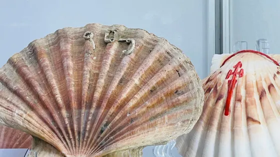Sea Museum