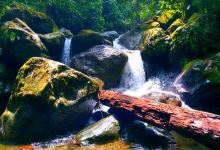 Cua Tu Waterfall景点图片