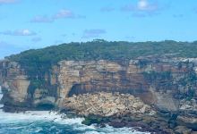 Malabar Headland National Park景点图片