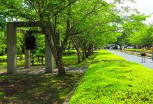 平和之钟景点图片