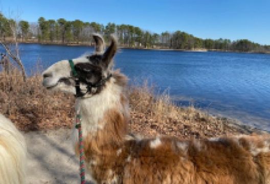 Second Wind Farm NE, LLC景点图片
