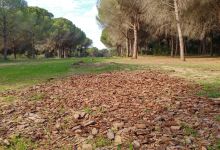 El Pinar del Rey景点图片