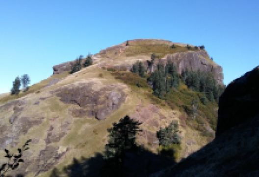 Saddle Mountain State Natural Area景点图片