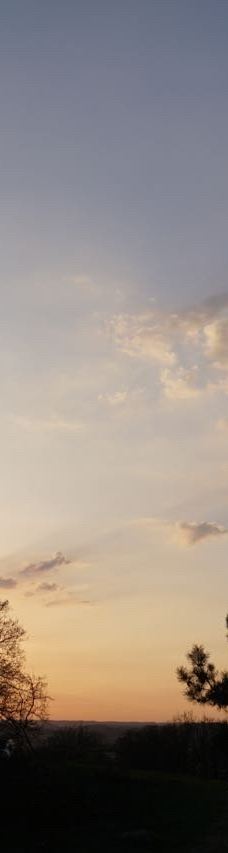 Svanninge Bakker-福堡