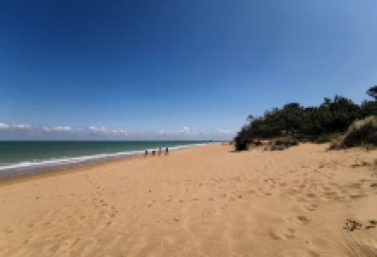 Plage des Saumonards景点图片