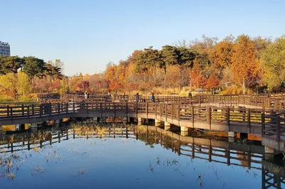 Pureun Arboretum