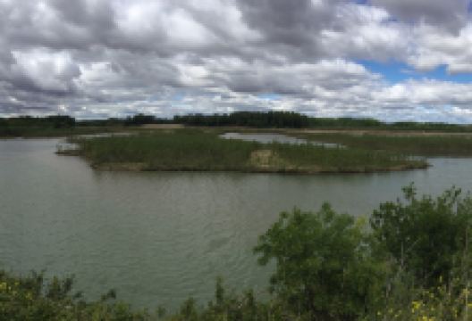Reserva Natural de Los Sotos de Alfaro景点图片