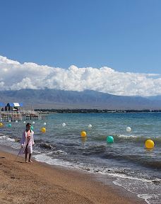 Raduga West Cottage #68-伊塞克湖区