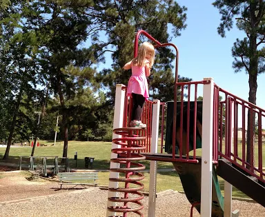 Pine Log Park