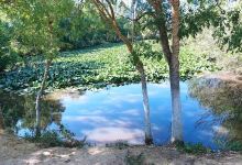 Animal Park Brabtia El Kala景点图片