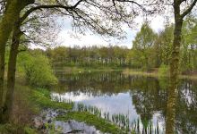 Heijkersbroek景点图片