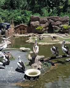 Lembang Park & Zoo-伦邦