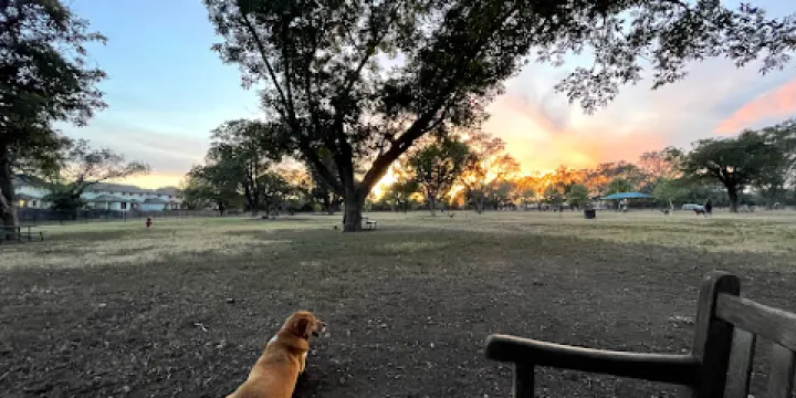 Bark Park