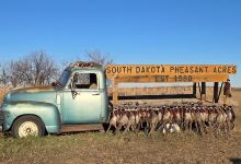 South Dakota Pheasant Acres景点图片