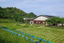 Piddig Sunflower Farm景点图片