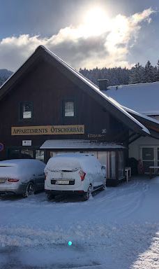 Ski School Ötscher Lackenhof-沙伊布斯