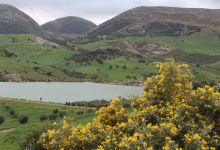 Oued Zitoun景点图片