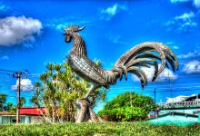 El Gallo Park景点图片
