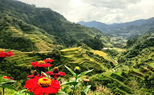 典納拉觀景台
