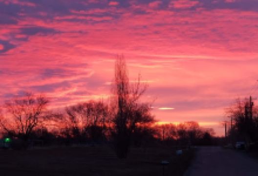 Murry Park景点图片