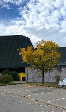 Stadthalle Balingen-巴林根