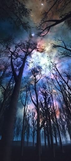 Planetarium der Hochschule Flensburg in Glücksburg-格吕克斯堡