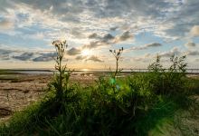 Hundestrand Nessmersiel景点图片