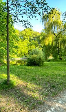 Stadt Park-开姆尼茨