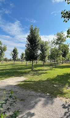 Camping Montpellier Plage-帕拉瓦莱弗洛