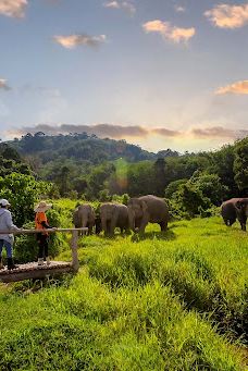 Bukit Elephant Park-普吉岛