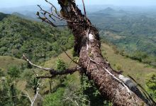 Bosque protector Galería景点图片