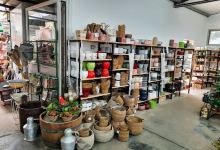 Galilee Plants Garden Center购物图片