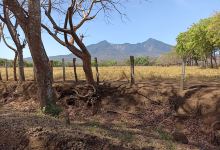 Aguas Agrias —La Nanda Reserva Natural Lagunas De Mecatepe景点图片