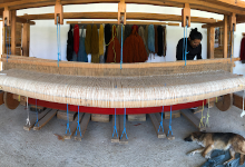 Taller Nawali - Zapotec Weavers购物图片