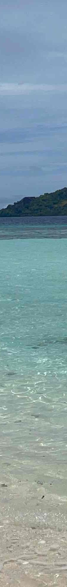 锡帕丹岛-斗湖-月饼Rebecca