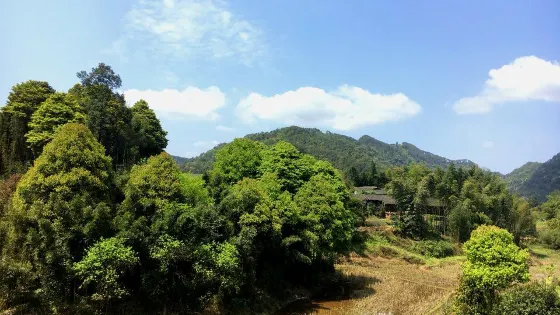 流米寺