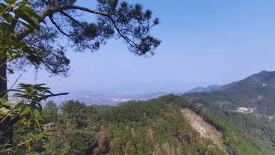鐵山國家森林公園
