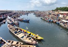 Elmina Boat Cruise - Lagoon & Sunset Boat Tours景点图片