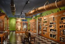 隆德历史博物馆景点图片