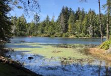 Jessie M. Honeyman Memorial State Park景点图片