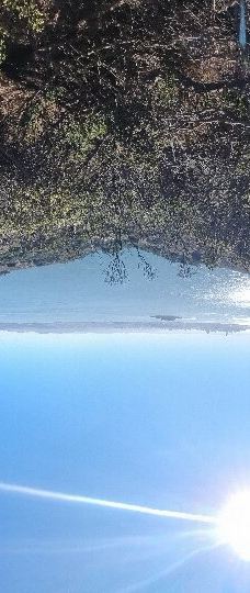 安琪儿岛-蒂伯龙