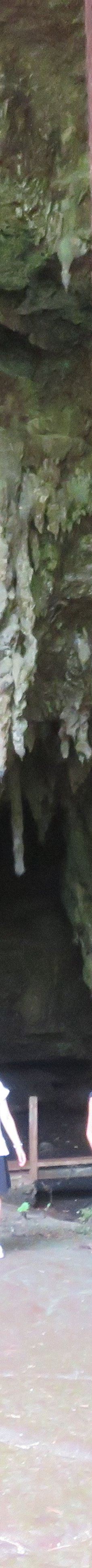 Grotte de Hortense-松树岛