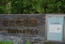 Sakana Park景点图片