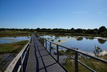 Reserve Naturelle Marais de Sene景点图片