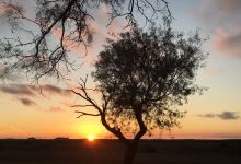 San Angelo State Park景点图片